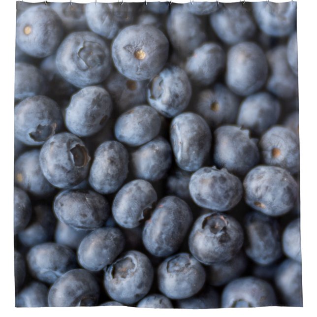 Healthy Fruits Shower Curtain (Front)