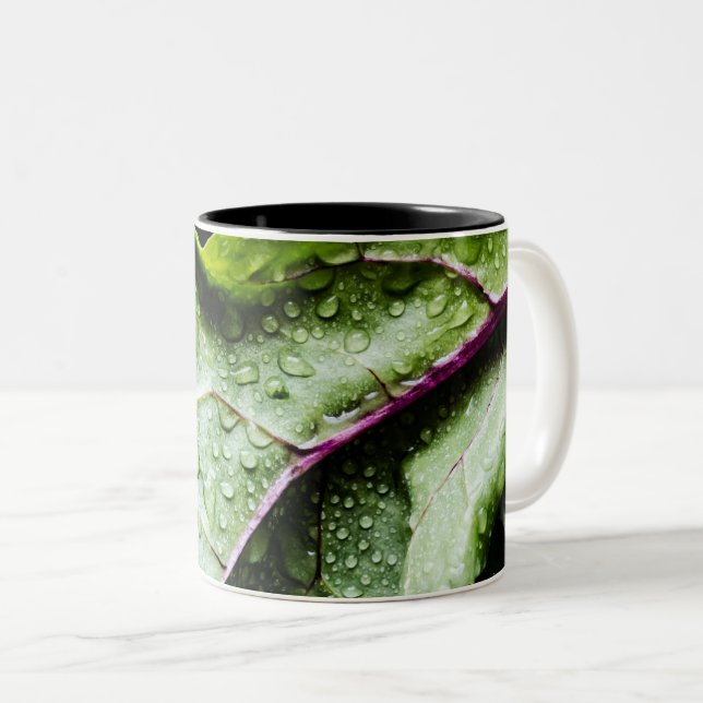 Healthy Fruits Two-Tone Coffee Mug (Front Right)