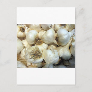 Healthy Garlic Postcard