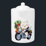 Healthy Kitten<br><div class="desc">Healthy Kitten</div>