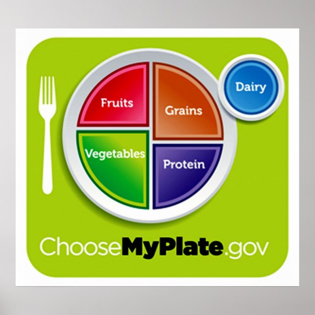 Healthy Meal Planning Choose My Plate Poster (Front)