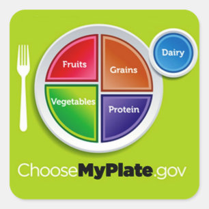 Healthy Meal Planning Choose My Plate Square Sticker
