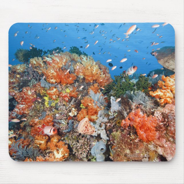 Healthy reef structure, Komodo National Park Mouse Pad (Front)