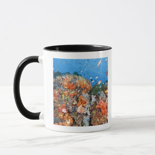 Healthy reef structure, Komodo National Park Mug (Left)