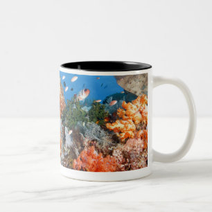 Healthy reef structure, Komodo National Park Two-Tone Coffee Mug