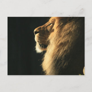 Hear Comes the Sun Postcard