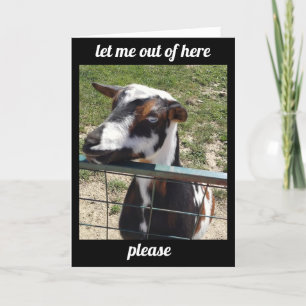 HEAR YOU ARE "UNDER THE WEATHER" GET WELL CARD