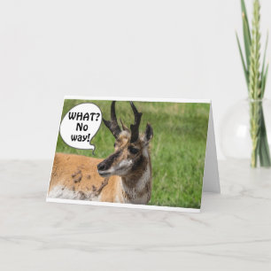 HEARD FROM THE HERD THAT YOU ARE **50** WOW CARD