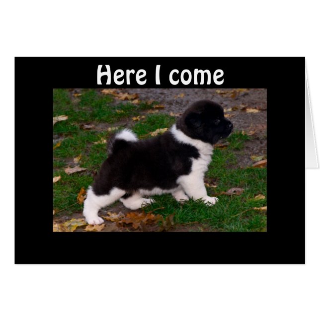 HEARD YOU HAVE A BOO BOO LEG (Front Horizontal)