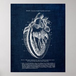 Heart Anatomy Art no.3  Interior View Poster
