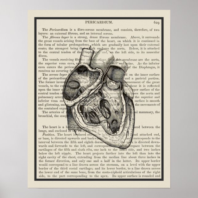 Heart Anatomy Book Art Print #2 (Front)