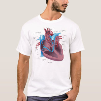 Heart Anatomy cool t-shirt