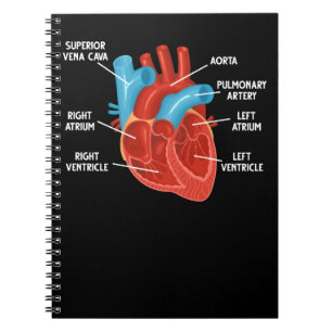 Heart Anatomy Education Cardiology Notebook