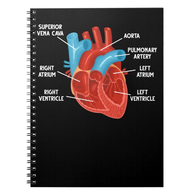 Heart Anatomy Education Cardiology Notebook (Front)
