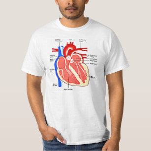 Heart Anatomy Geek T-Shirt