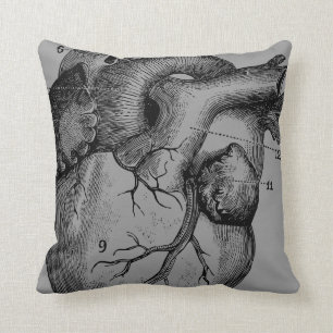 heart and brain - anatomy cushion