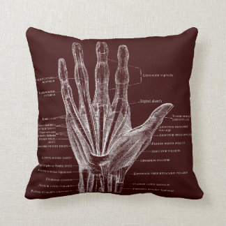 heart and hand - anatomy cushion