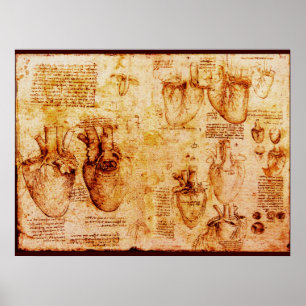 Heart And Its Blood Vessels , Brown Canvas Poster
