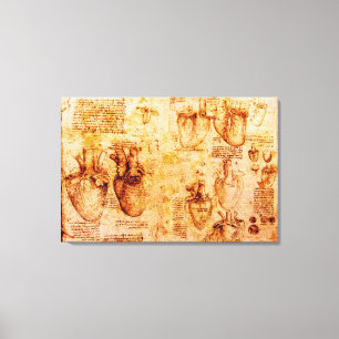 Heart And Its Blood Vessels, Brown Canvas Print