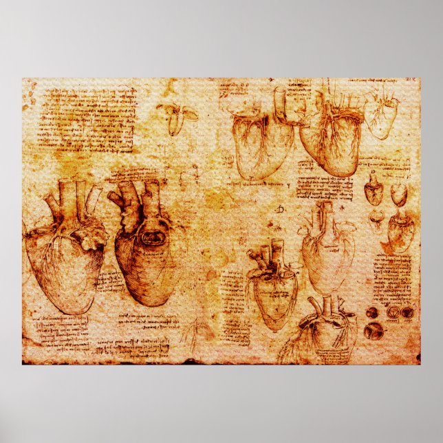 Heart And Its Blood Vessels , Brown Poster (Front)