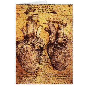 Heart And Its Blood Vessels Parchment