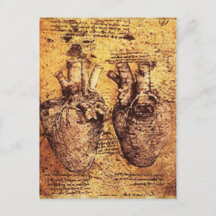 Heart And Its Blood Vessels Parchment Postcard