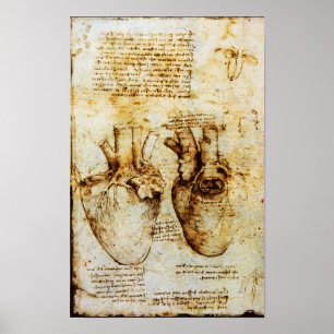 Heart And Its Blood Vessels Poster