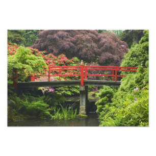 Heart Bridge with blossoming rhododendrons, Photo Print