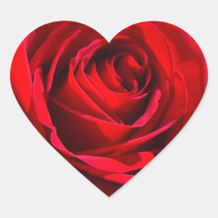 Heart Deep Red Rose Heart Sticker