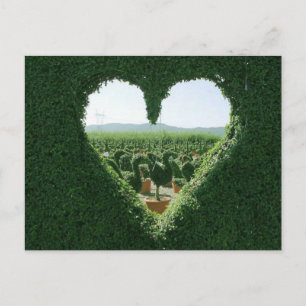 Heart Grass Flamingo Postcard