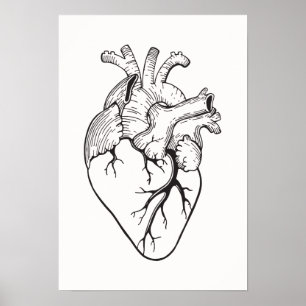 Heart Illustration Poster