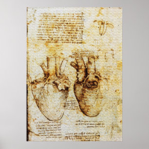 Heart,Its Blood Vessels,Leonardo Da Vinci,Sepia Poster