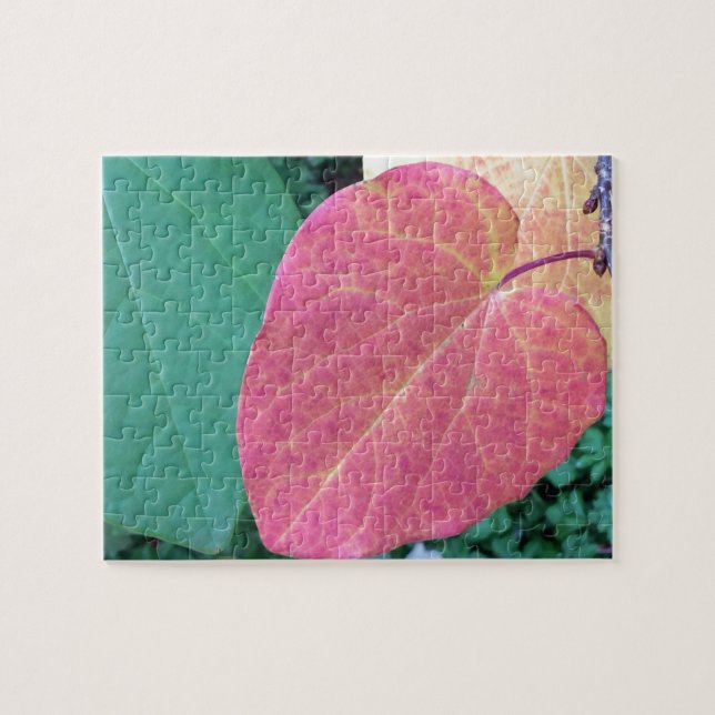 Heart Leaves of Yellow Red Green - Jigsaw Puzzle (Horizontal)