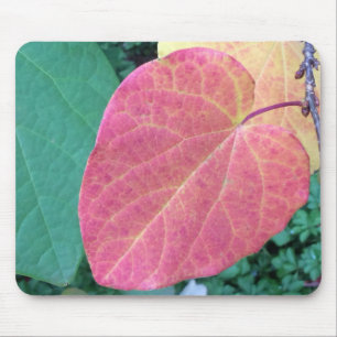Heart Leaves of Yellow Red Green - Mouse Pad