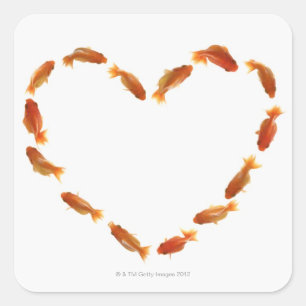 Heart made with goldfishes square sticker