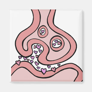 Heart Neurotransmitters Magnet