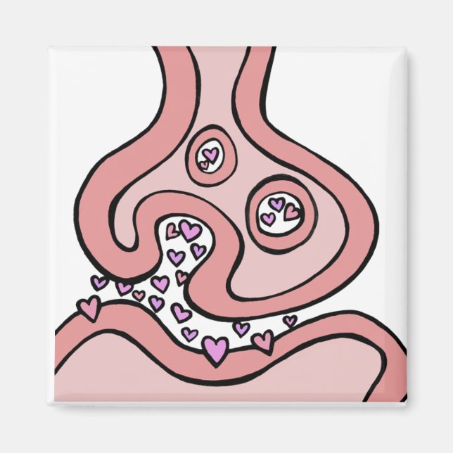 Heart Neurotransmitters Magnet (Front)