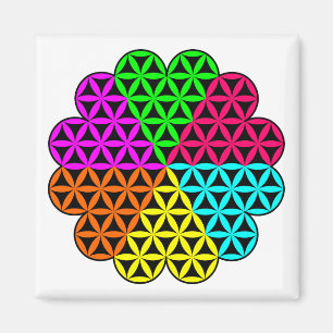 Heart of Life X 6 -Flower of Heart - Vector Magnet