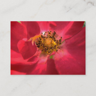 Heart of the Rose ATC Business Card