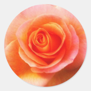 'Heart of the Rose' Sticker