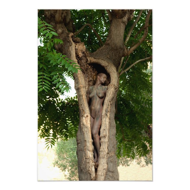 Heart of the Tree by Johannes Stötter Photo Print (Front)