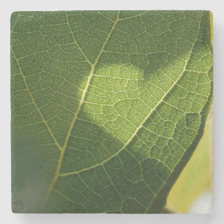 Heart on a Sunlit Leaf Coaster