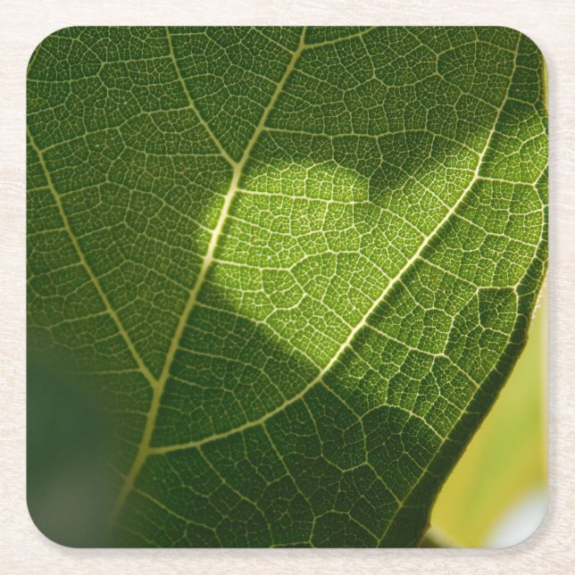 Heart on a Sunlit Leaf Coaster (Front)