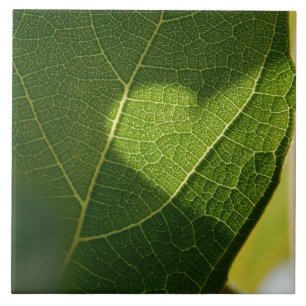 Heart on a Sunlit Leaf Tile