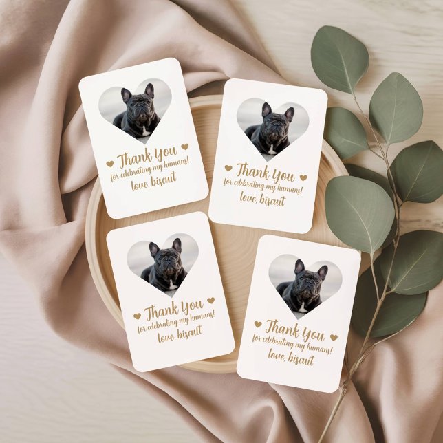Heart Photo Dog Wedding Favour Playing Cards (Creator Uploaded)