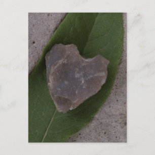 Heart Rock on Green Leaf Postcard
