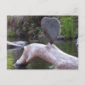 Heart Rock Postcard