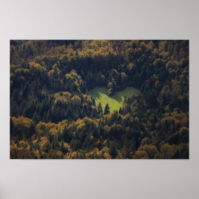 Heart shape in a forest in Slovenia Poster (Front)
