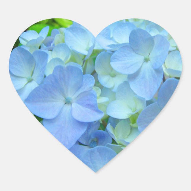 Heart Shape stickers seals Blue Hydrangeas Floral (Front)