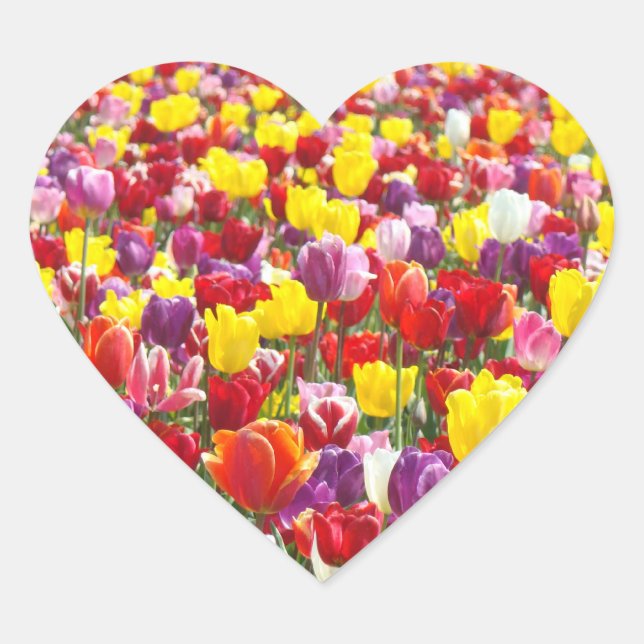 Heart Shape stickers Tulip Flowers Spring (Front)